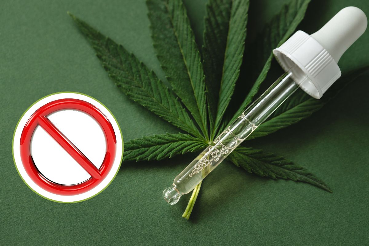 Il divieto di vendere cannabis light rappresenta una significativa difficoltà per le imprese